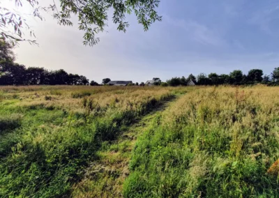 Terrain de La Maison Folia, maison d’hôtes en Normandie avec champ et verdure