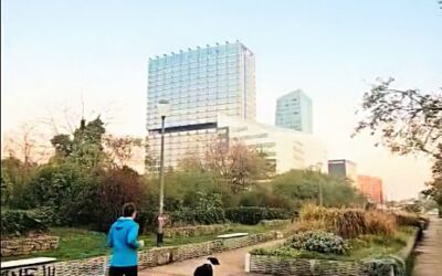 Matin d’octobre au Parc des Dondaines à Lille run balade et chiens bienvenus