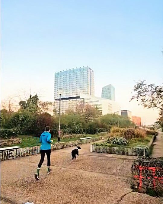 Matin d’octobre au Parc des Dondaines à Lille run balade et chiens bienvenus