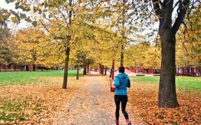 Matin d’automne à Lille au parc Jean-Baptiste Lebas depuis La Maison Fives