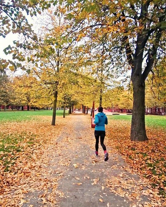 Matin d’automne à Lille au parc Jean-Baptiste Lebas depuis La Maison Fives