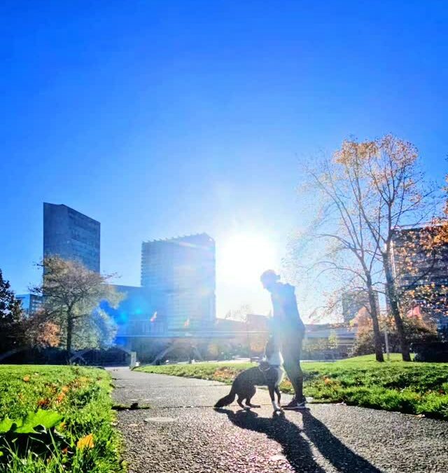 RUN – Parc Matisse, Lille — Footing un matin d’octobre, 9h, Soula et Gapi