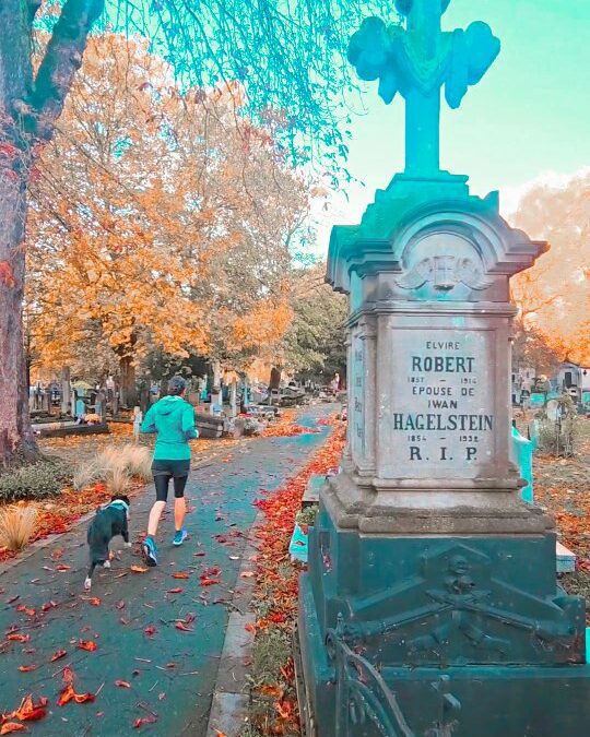 RUN 👻 — Cimetière de l’Est, Lille — Matin d’Halloween, sous un ciel bleu et frais