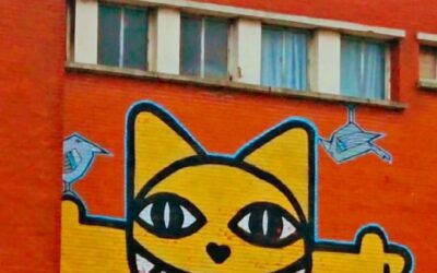 Ce matin, 8h. Un run trempé, un ciel bas, Lille encore à moitié endormie, et M.Chat qui sourit au Tripostal