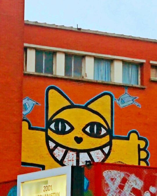 Ce matin, 8h. Un run trempé, un ciel bas, Lille encore à moitié endormie, et M.Chat qui sourit au Tripostal