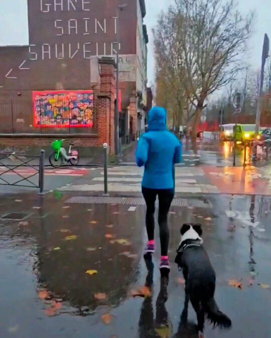 RUN — Bd. Denis-Papin > Gare Saint-Sauveur, 4 °C sous la pluie sur le plus petit boulevard du monde