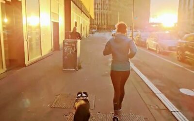 RUN — Bâtiment ShAKe, Caisse d’Épargne, Lille