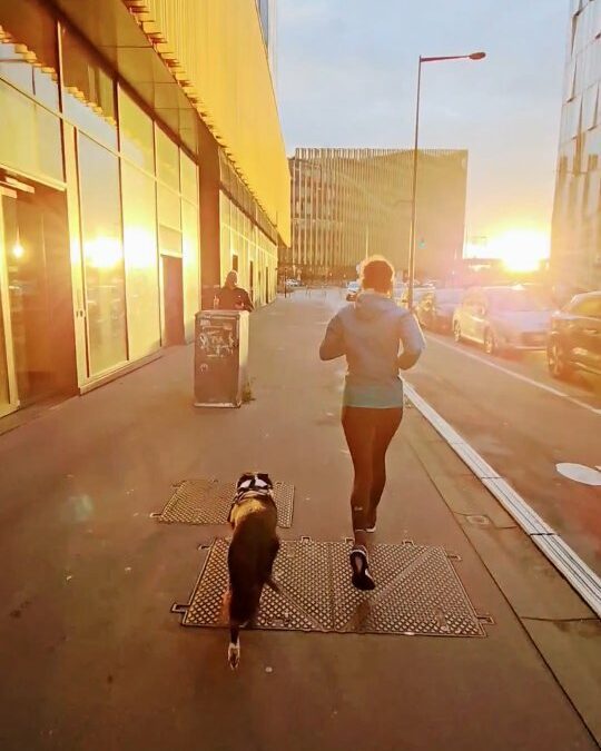 RUN — Bâtiment ShAKe, Caisse d’Épargne, Lille