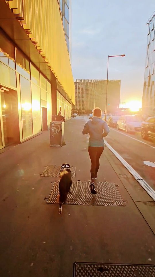 run-batiment-shake-caisse-depargne-lille