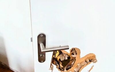 NUIT D’HORREUR DU 31 — Coincé et tout nu dans la douche 😱