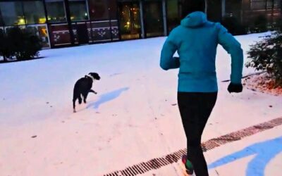 RUN — Lille Fives Cail sous la neige, un manteau fin juste ce qu’il faut pour changer l’ambiance