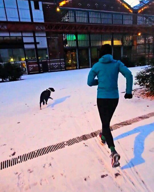 RUN — Lille Fives Cail sous la neige, un manteau fin juste ce qu’il faut pour changer l’ambiance