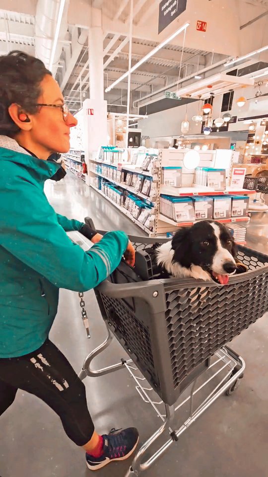 pourquoi-on-a-mis-gapi-dans-un-caddie