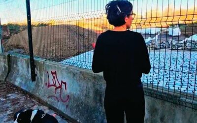 RUN – PARC SAINT-SAUVEUR. BIENTÔT POUR COURIR.