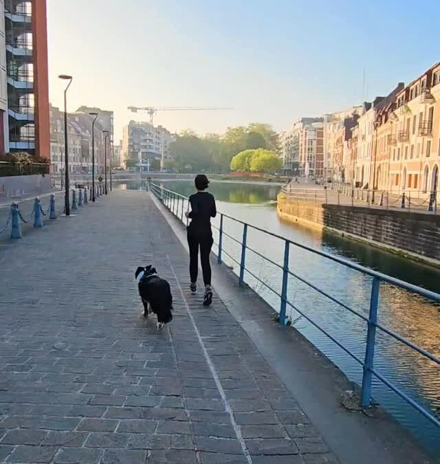 RUN — QUAI DU WAULT, LILLE — Ce matin, c’était très calme