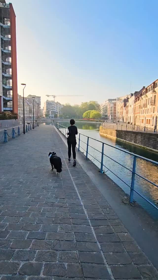 run-quai-du-wault-lille-ce-matin-cetait-tres-calme