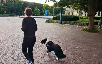 RUN DEVANT LE PALAIS DES BEAUX-ARTS, 6H DU MATIN