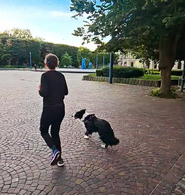 RUN DEVANT LE PALAIS DES BEAUX-ARTS, 6H DU MATIN