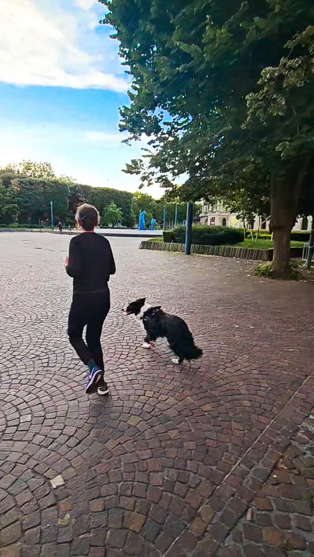run-devant-le-palais-des-beaux-arts-6h-du-matin