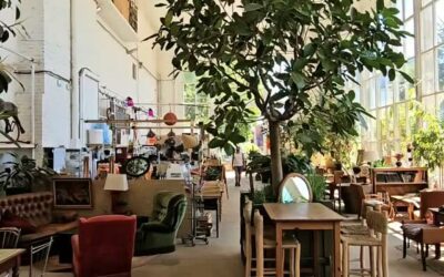 DÉJEUNER DANS L’ORANGERIE, LILLE – AU MILIEU DES ARBRES, À L’INTÉRIEUR