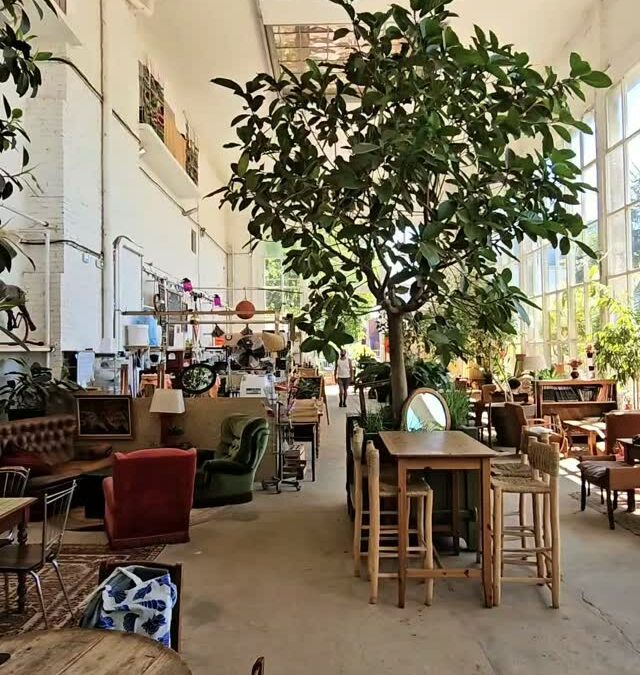 DÉJEUNER DANS L’ORANGERIE, LILLE – AU MILIEU DES ARBRES, À L’INTÉRIEUR