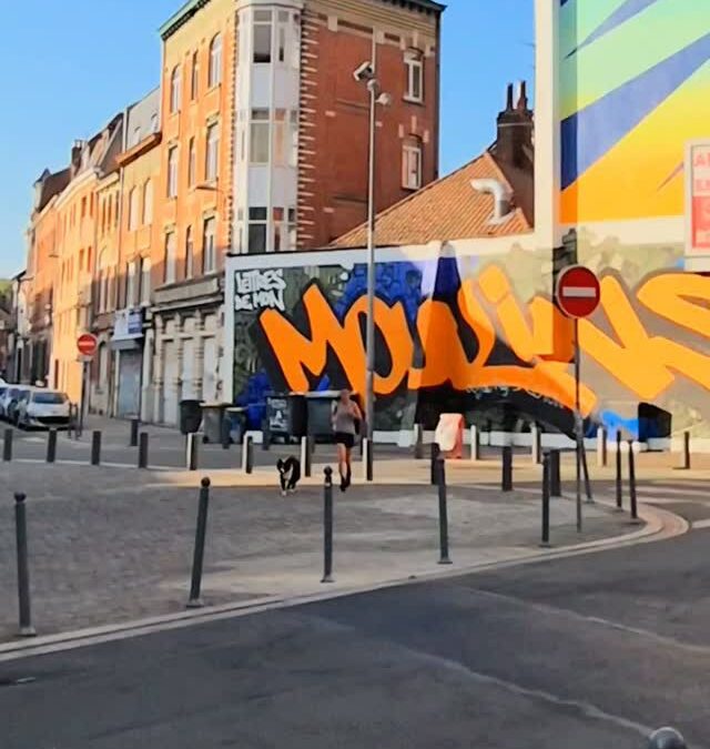 RUN, NOUVEAU GRAFF À MOULINS, LILLE
