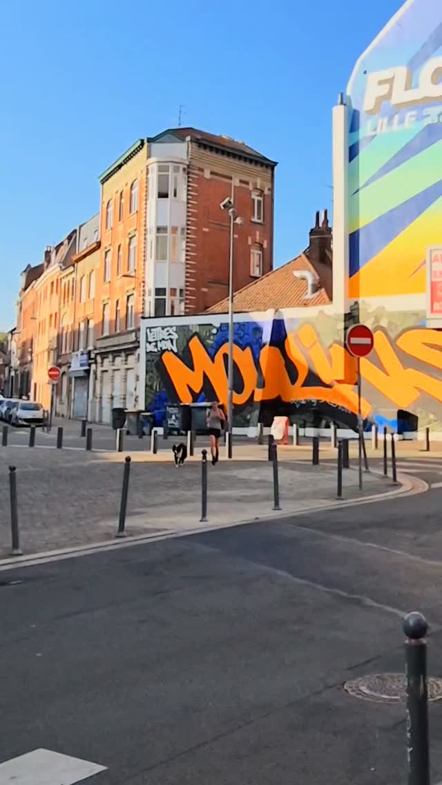 run-nouveau-graff-a-moulins-lille